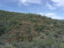 photo thumbnail #10