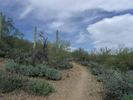 photo thumbnail #11
