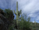 photo thumbnail #12