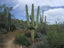 photo thumbnail #13