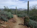 photo thumbnail #14