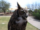 photo thumbnail #2