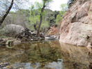 photo thumbnail #3