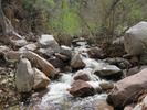 photo thumbnail #4