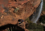 photo thumbnail #8
