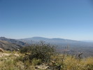 photo thumbnail #2