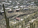 photo thumbnail #7