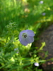 photo thumbnail #11