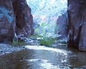 photo thumbnail #12