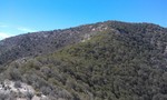 photo thumbnail #8
