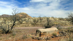 photo thumbnail #4
