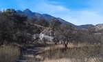 photo thumbnail #2