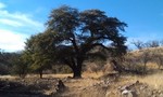 photo thumbnail #3