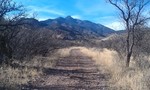 photo thumbnail #4