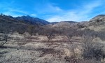 photo thumbnail #5