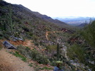 photo thumbnail #8