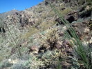 photo thumbnail #5