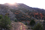 photo thumbnail #2