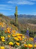 photo thumbnail #10
