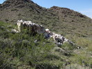photo thumbnail #12