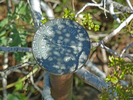 photo thumbnail #3