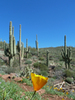 photo thumbnail #13