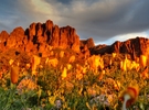 photo thumbnail #13