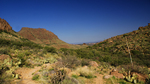 photo thumbnail #8