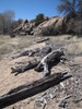photo thumbnail #5