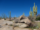 photo thumbnail #3
