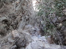 photo thumbnail #13