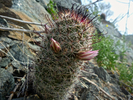 photo thumbnail #9