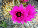photo thumbnail #12