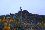 photo thumbnail #6
