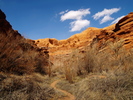photo thumbnail #14