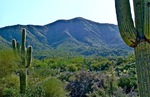 photo thumbnail #2