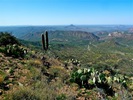 photo thumbnail #6