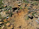 photo thumbnail #10