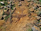 photo thumbnail #14