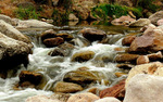 photo thumbnail #10