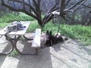 photo thumbnail #2