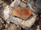 photo thumbnail #9