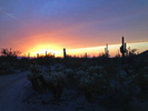 photo thumbnail #11
