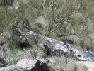photo thumbnail #10