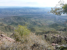 photo thumbnail #2