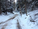 photo thumbnail #5