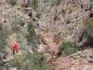 photo thumbnail #8
