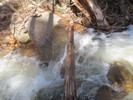 photo thumbnail #5
