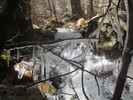 photo thumbnail #6
