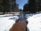 photo thumbnail #10
